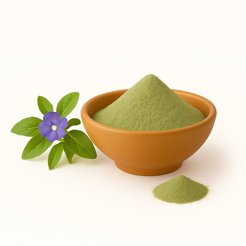Shankhpushpi – Natural Herbal