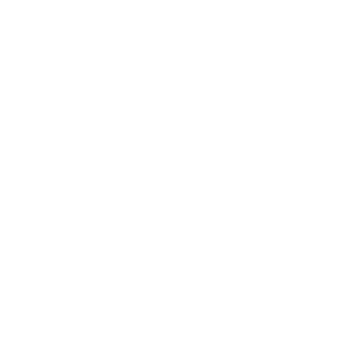 100% Natural and Chemical Free icon