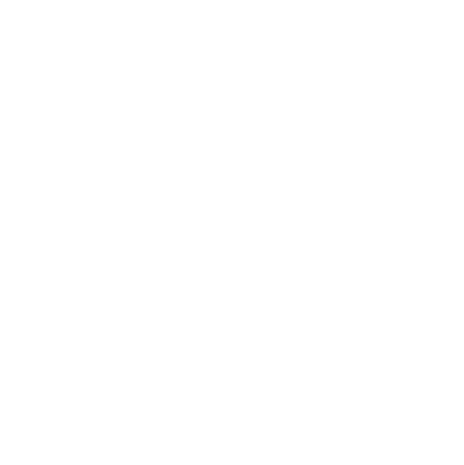 Custom Bulk Packaging icon