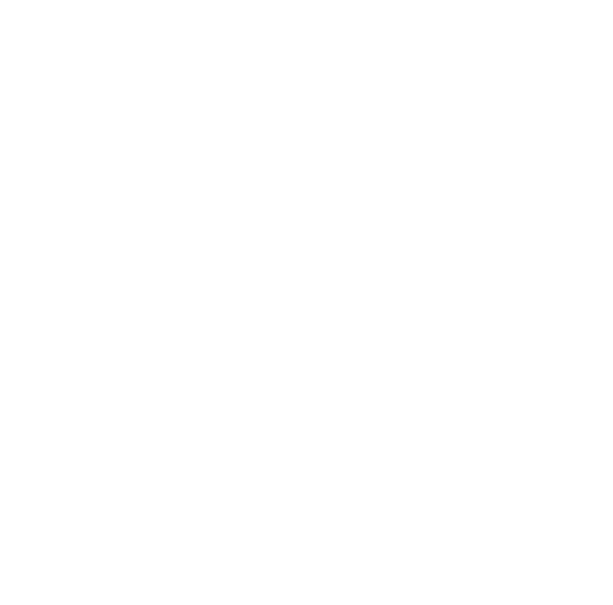 Global Export Experience icon