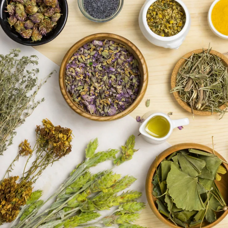 Ayurveda herbal product exporter from india