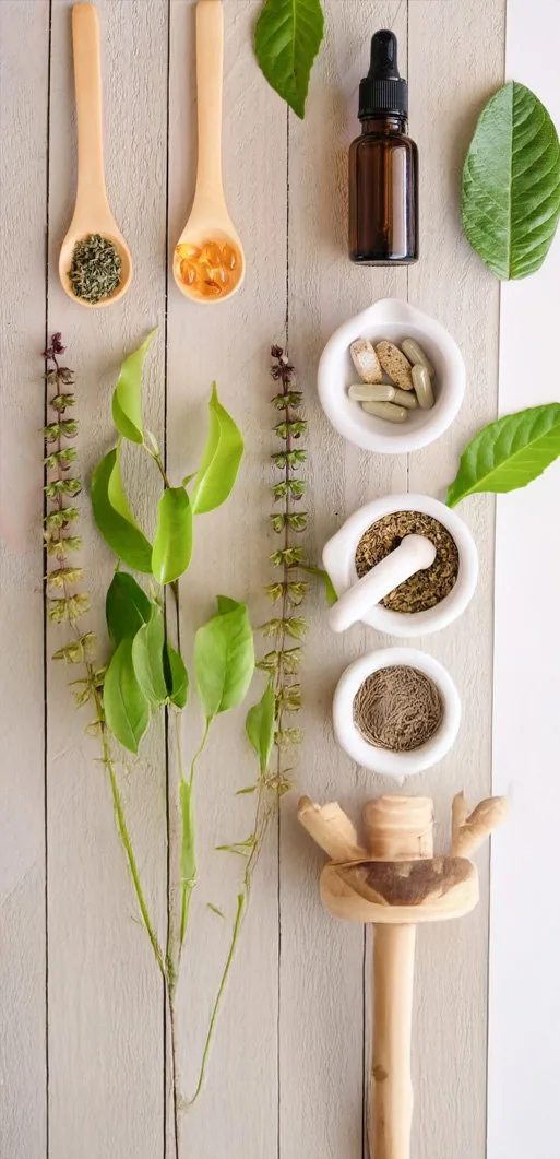 herbal henna supplier